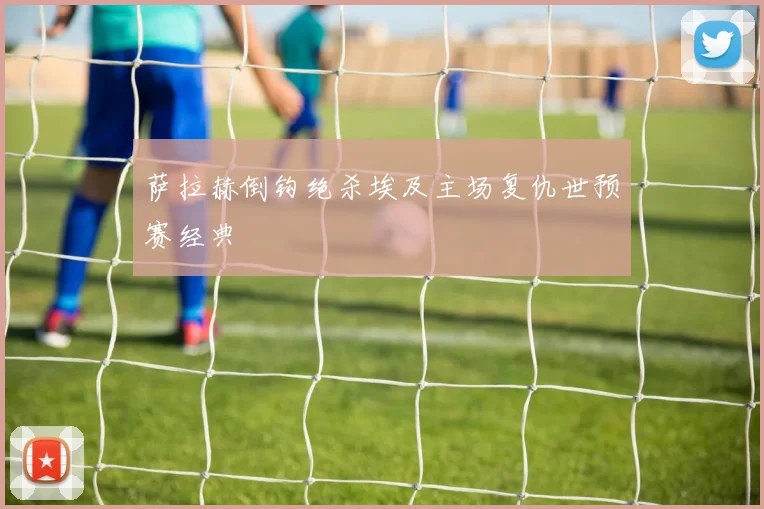 萨拉赫倒钩绝杀埃及主场复仇世预赛经典