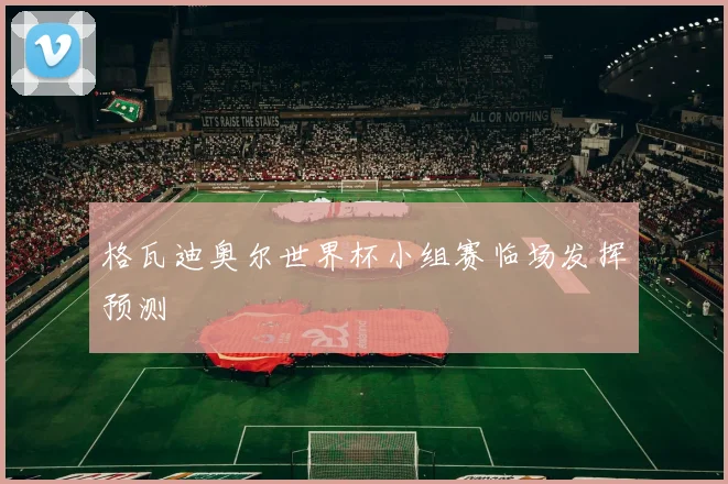 格瓦迪奥尔世界杯小组赛临场发挥预测